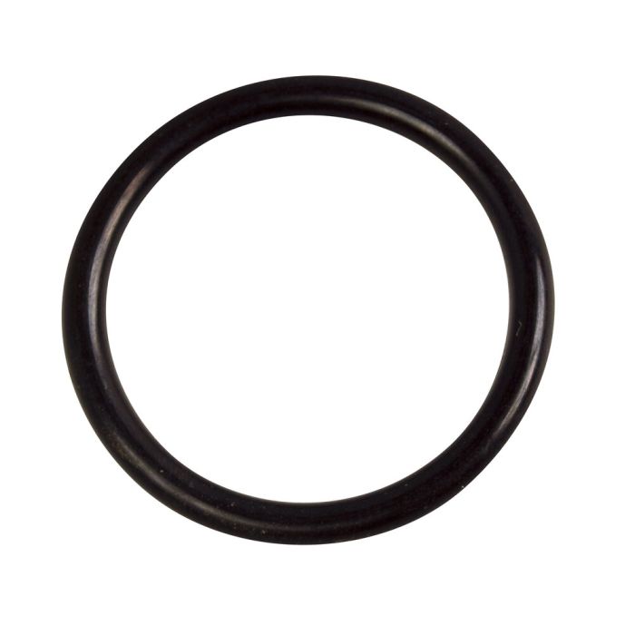 7201 O-Ring 22 x 2, 5 mm (RS)
